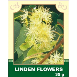 Linden Flowers